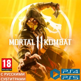 Mortal Kombat 11 | PS4 & PS5