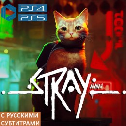 Stray | PS4 & PS5