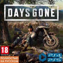 Жизнь после (Days Gone)